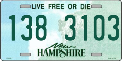 NH license plate 1383103