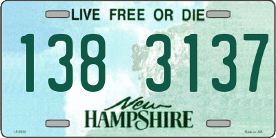 NH license plate 1383137