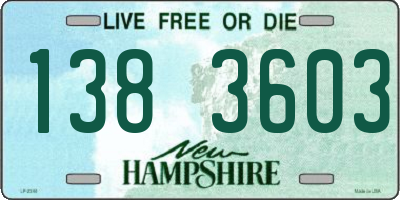 NH license plate 1383603