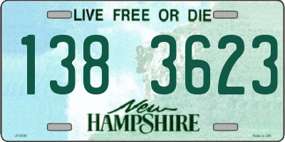 NH license plate 1383623