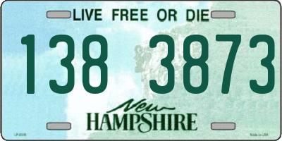 NH license plate 1383873