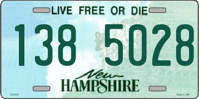 NH license plate 1385028