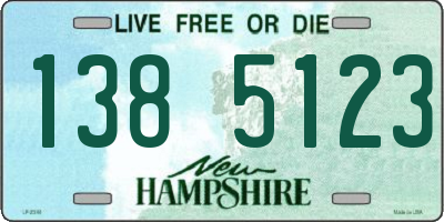 NH license plate 1385123