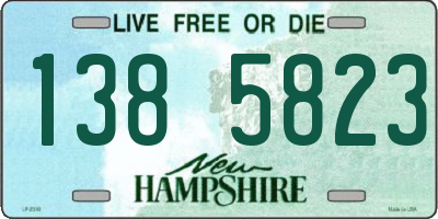 NH license plate 1385823