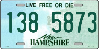 NH license plate 1385873