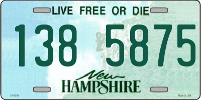 NH license plate 1385875
