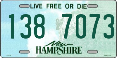 NH license plate 1387073