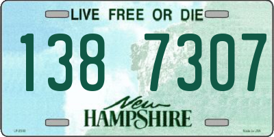 NH license plate 1387307