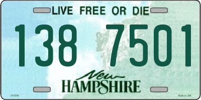 NH license plate 1387501