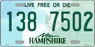 NH license plate 1387502