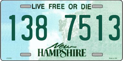 NH license plate 1387513