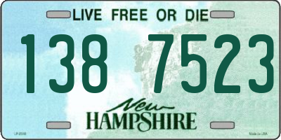 NH license plate 1387523