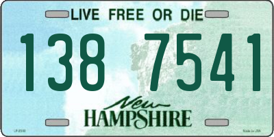 NH license plate 1387541
