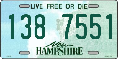NH license plate 1387551