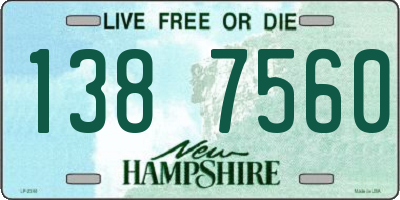 NH license plate 1387560