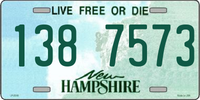 NH license plate 1387573