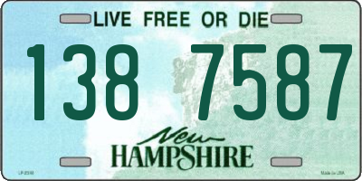 NH license plate 1387587