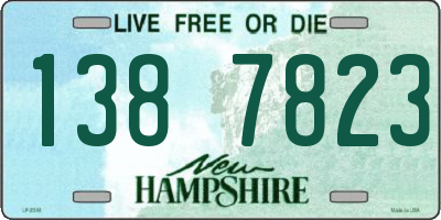 NH license plate 1387823