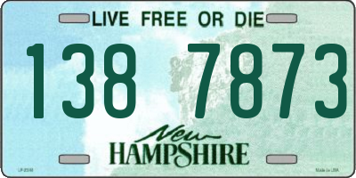 NH license plate 1387873
