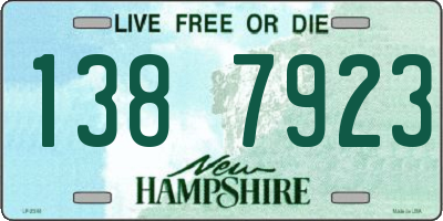 NH license plate 1387923