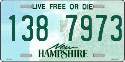 NH license plate 1387973