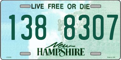 NH license plate 1388307