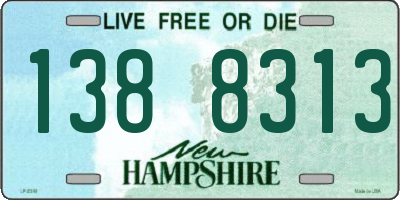 NH license plate 1388313