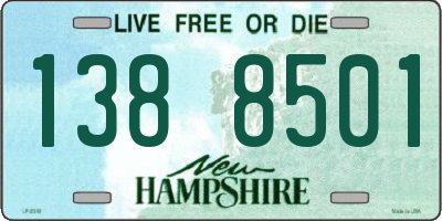 NH license plate 1388501