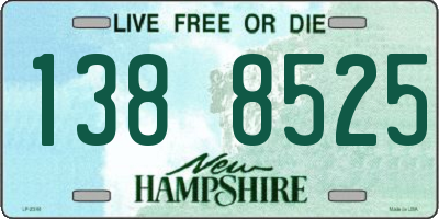 NH license plate 1388525
