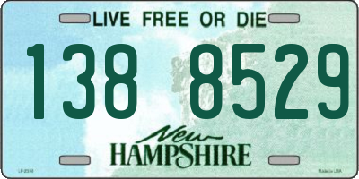 NH license plate 1388529