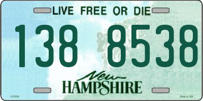 NH license plate 1388538