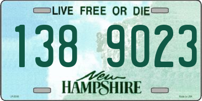 NH license plate 1389023