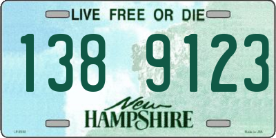 NH license plate 1389123