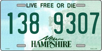 NH license plate 1389307