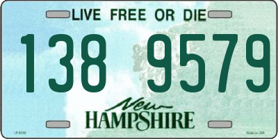 NH license plate 1389579