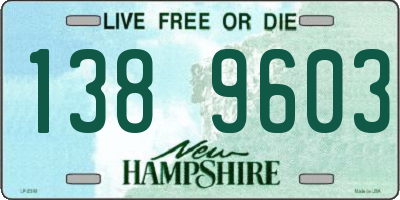 NH license plate 1389603