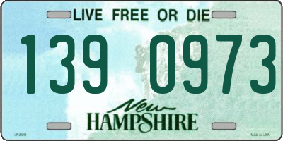 NH license plate 1390973