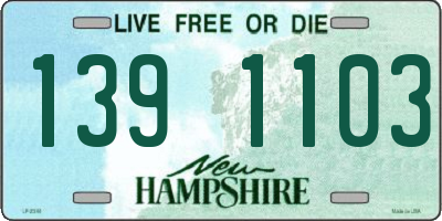 NH license plate 1391103