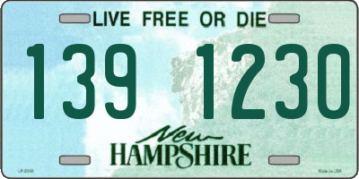 NH license plate 1391230