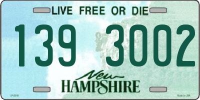 NH license plate 1393002