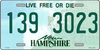 NH license plate 1393023