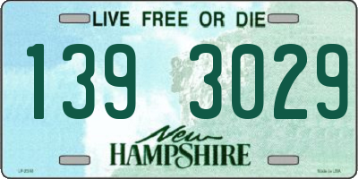 NH license plate 1393029