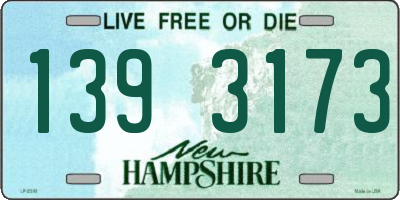 NH license plate 1393173