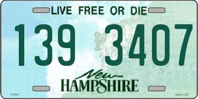 NH license plate 1393407