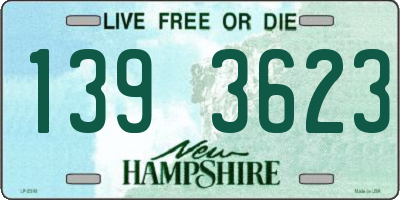 NH license plate 1393623