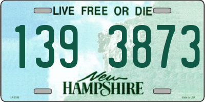 NH license plate 1393873