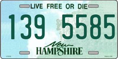 NH license plate 1395585