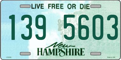 NH license plate 1395603