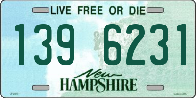 NH license plate 1396231