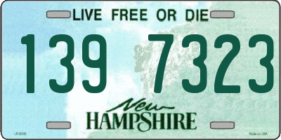 NH license plate 1397323